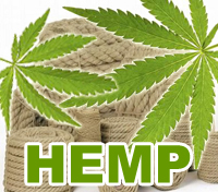 HEMP,�إ��,��,�Ǻ�,�ե��å����,��,˹��,���������꡼,����,�������˥å�,�ʥ�����