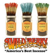 �磻��ɥ٥꡼,wildberry,���󥻥�,����,�͵�